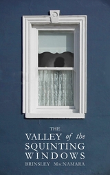 The Valley of the Squinting Windows - Brinsley McNamara