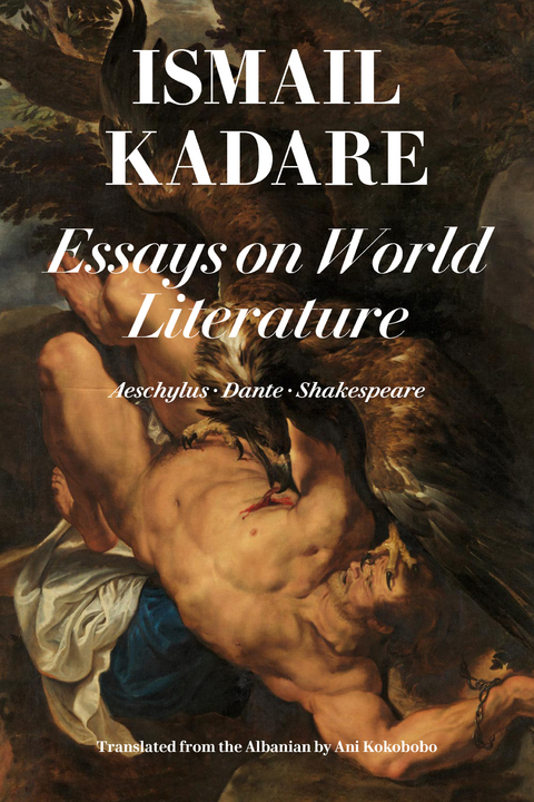 Essays on World Literature -  Ismail Kadare