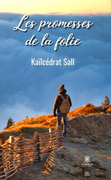 Les promesses de la folie - Ka&iuml;lc&eacute;drat Sall