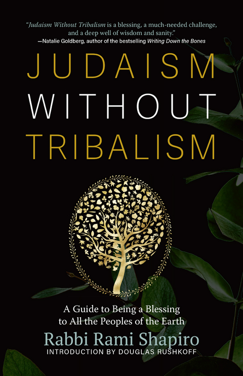 Judaism Without Tribalism - Rami Shapiro