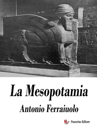 Brevi cenni sulla Mesopotamia