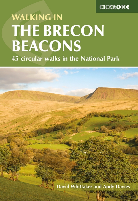 Walking in the Brecon Beacons - Andy Davies, David Whittaker