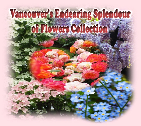 Vancouver's Endearing Splendour of Flowers Collection -  Annie Ho,  Rowena Kong