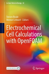 Electrochemical Cell Calculations with OpenFOAM - 