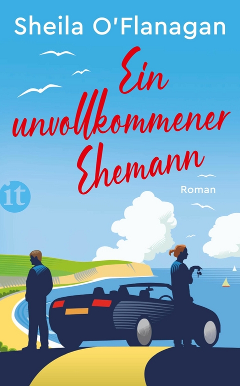 Ein unvollkommener Ehemann - Sheila O&rsquo;Flanagan
