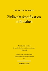 Zivilrechtskodifikation in Brasilien - Jan Peter Schmidt