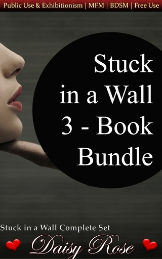 Stuck In A Wall 3-Book Bundle