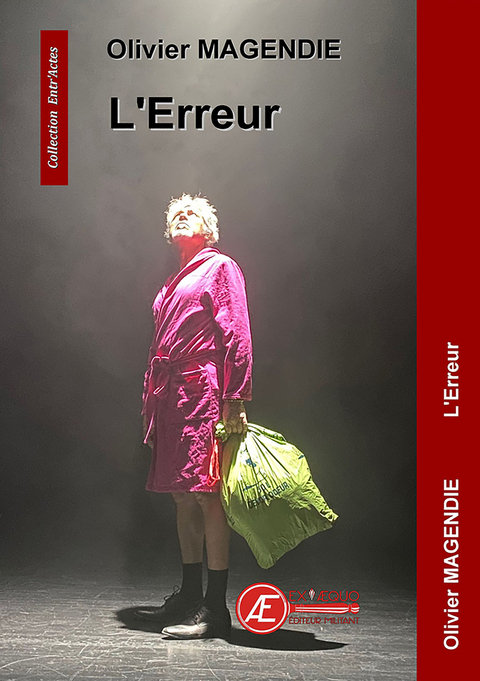 L'erreur - Olivier Magendie
