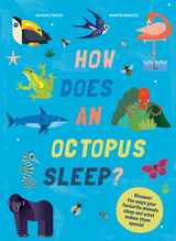 How Does An Octopus Sleep? -  Martin Iannuzzi,  Octavio Pintos
