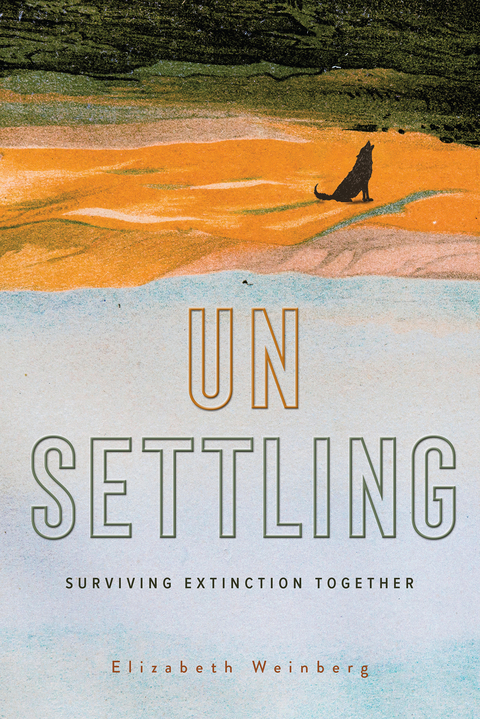 Unsettling -  Weinberg Elizabeth Weinberg