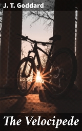 The Velocipede - J. T. Goddard