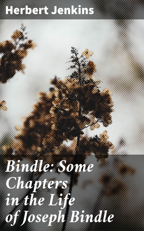 Bindle: Some Chapters in the Life of Joseph Bindle - Herbert Jenkins