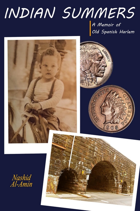 Indian Summers - Nashid Al - Amin