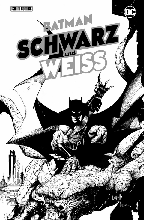 Batman: Schwarz und Wei&szlig; -  Paul Dini