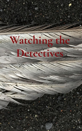 Watching the Detectives