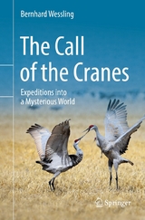 The Call of the Cranes - Bernhard Wessling