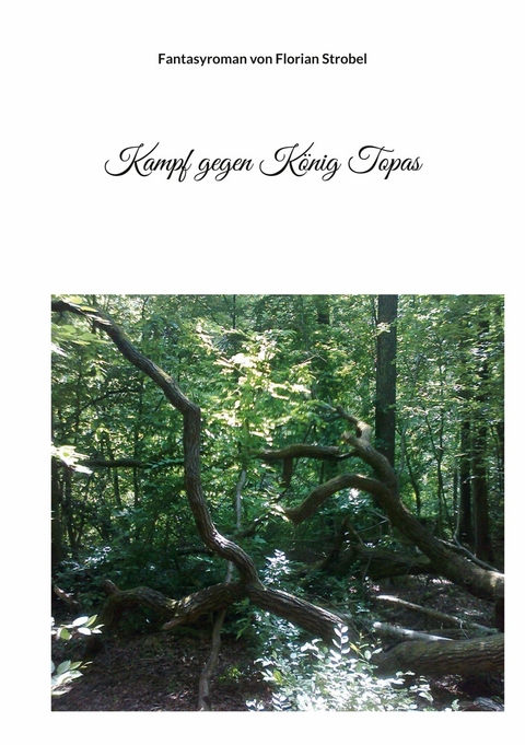 Kampf gegen K&ouml;nig Topas - Florian Strobel