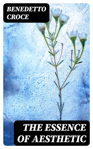 The Essence of Aesthetic