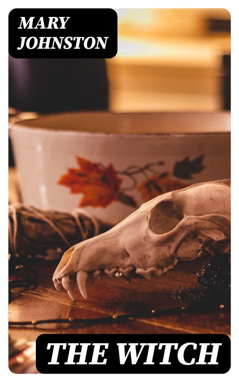 The Witch - Mary Johnston