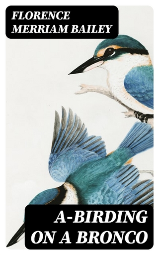 A-Birding on a Bronco