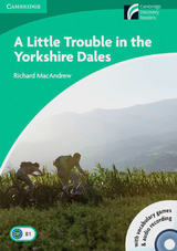 A Little Trouble in the Yorkshire Dales - MacAndrew, Richard