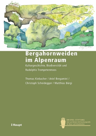 Bergahornweiden im Alpenraum