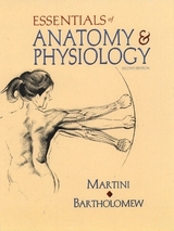 Essentials of Anatomy and Physiology - Martini, Frederic H.; Bartholomew, Edwin F.