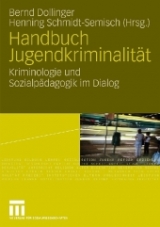 Handbuch Jugendkriminalit&auml;t - 