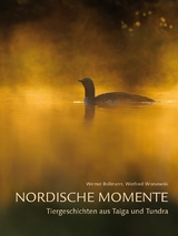 Nordische Momente - Werner Bollmann