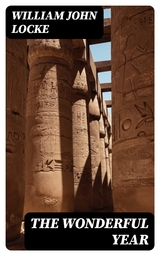 The Wonderful Year - William John Locke