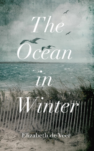Ocean in Winter