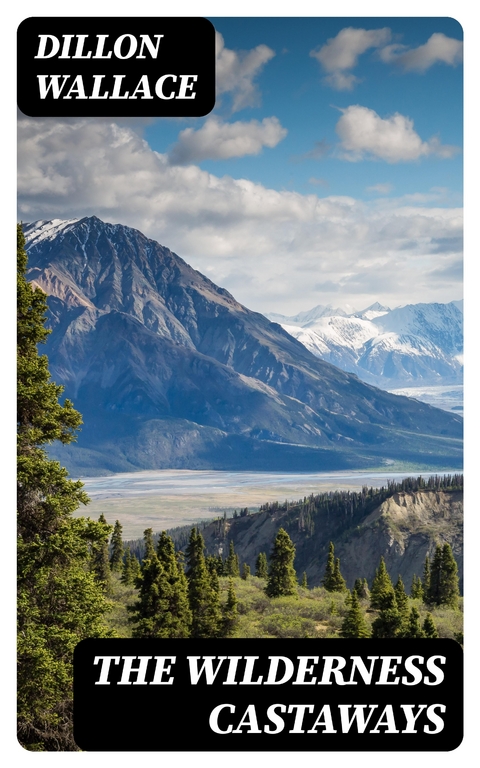 The Wilderness Castaways - Dillon Wallace