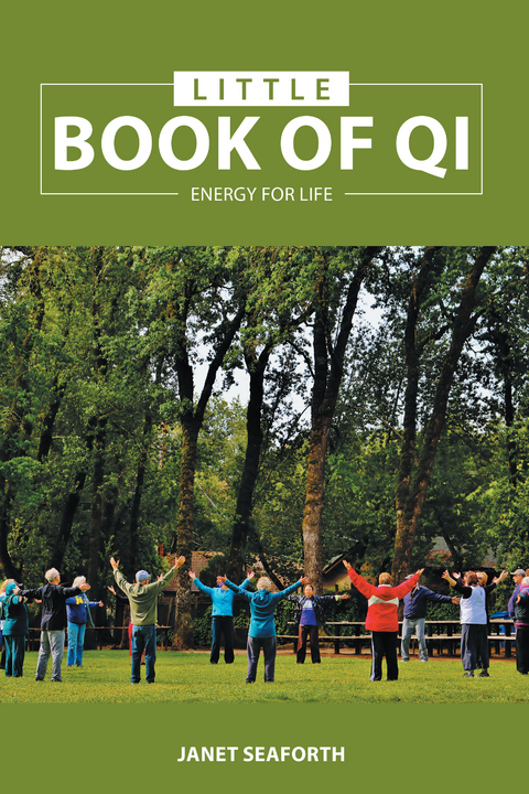 Little Book of Qi - Janet Seaforth
