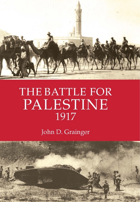 The Battle for Palestine 1917 - John D Grainger