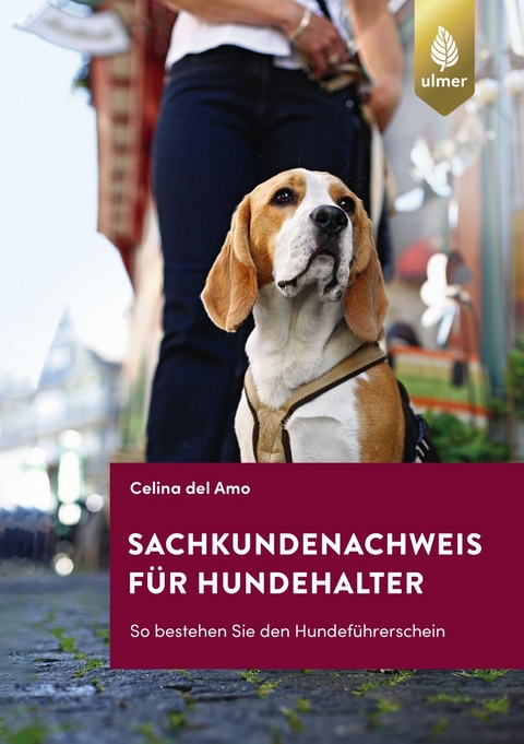 Sachkundenachweis f&uuml;r Hundehalter - Celina Del Amo