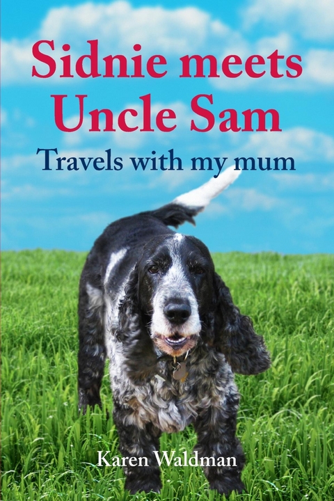 Sidnie meets Uncle Sam - Karen Waldman
