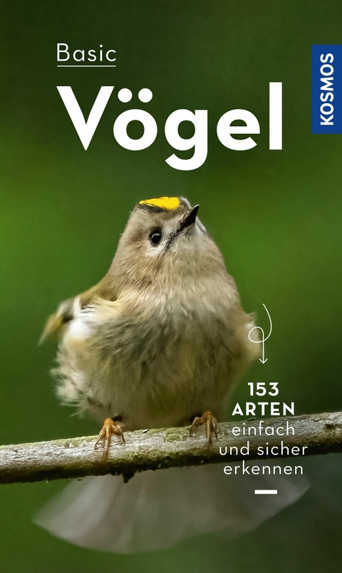 BASIC V&ouml;gel - Volker Dierschke