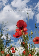 Ich werde auf dich warten - Christine Stutz