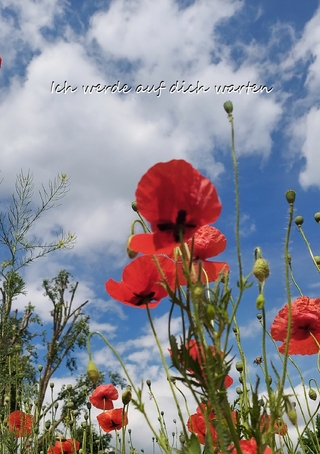 Ich werde auf dich warten