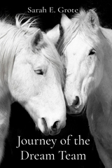 Journey of the Dream Team - Sarah E Grote
