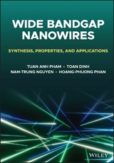 Wide Bandgap Nanowires - Tuan Anh Pham, Toan Dinh, Nam-Trung Nguyen, Hoang-Phuong Phan