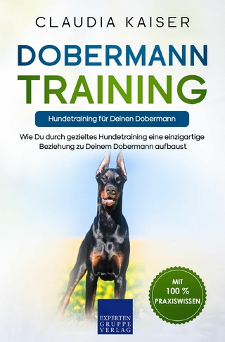 Dobermann Training – Hundetraining für Deinen Dobermann