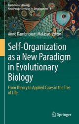 Self-Organization as a New Paradigm in Evolutionary Biology - 