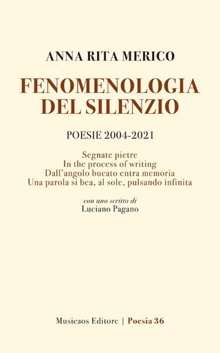 Fenomenologia del silenzio