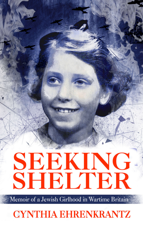 Seeking Shelter - Cynthia Ehrenkrantz