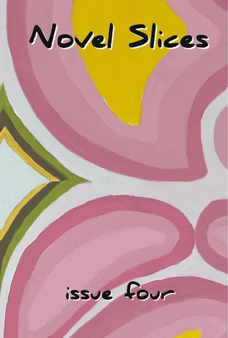Novel Slices Issue 4