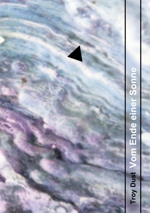 Vom Ende einer Sonne - Troy Dust