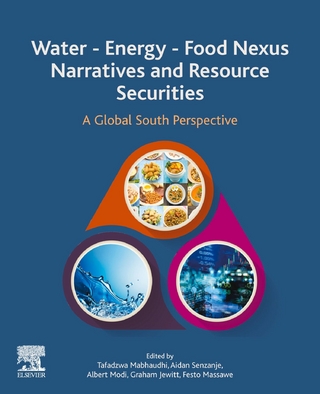 Water - Energy - Food Nexus Narratives and Resource Securities