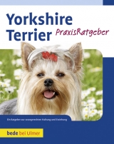Yorkshire Terrier - Rudolf Schlie&szlig;er