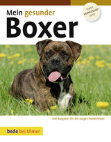Mein gesunder Boxer - Lowell Ackerman